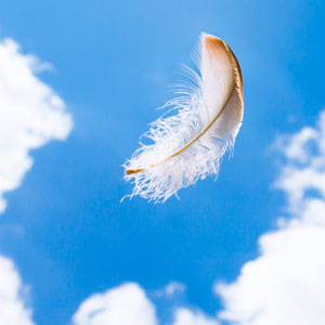 A white feather is just one sign an angel has heard your call.
